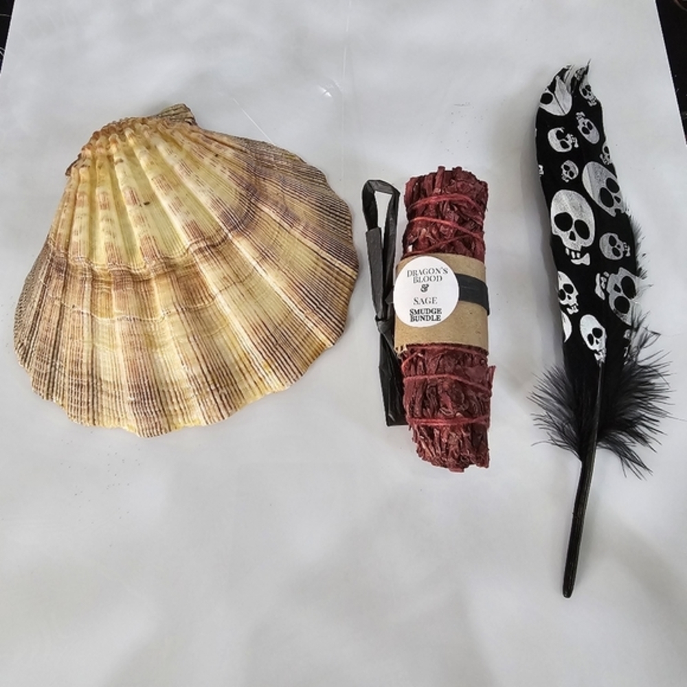 Decor Set ✦ Dragon’s Blood Sage Tiger Shell Feather Trio ✦ Natural Elements NWT